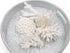 buy coral mix